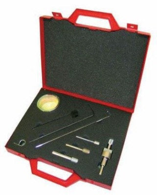 GOVONI - timing set Peugeot Citroen Ford Volvo