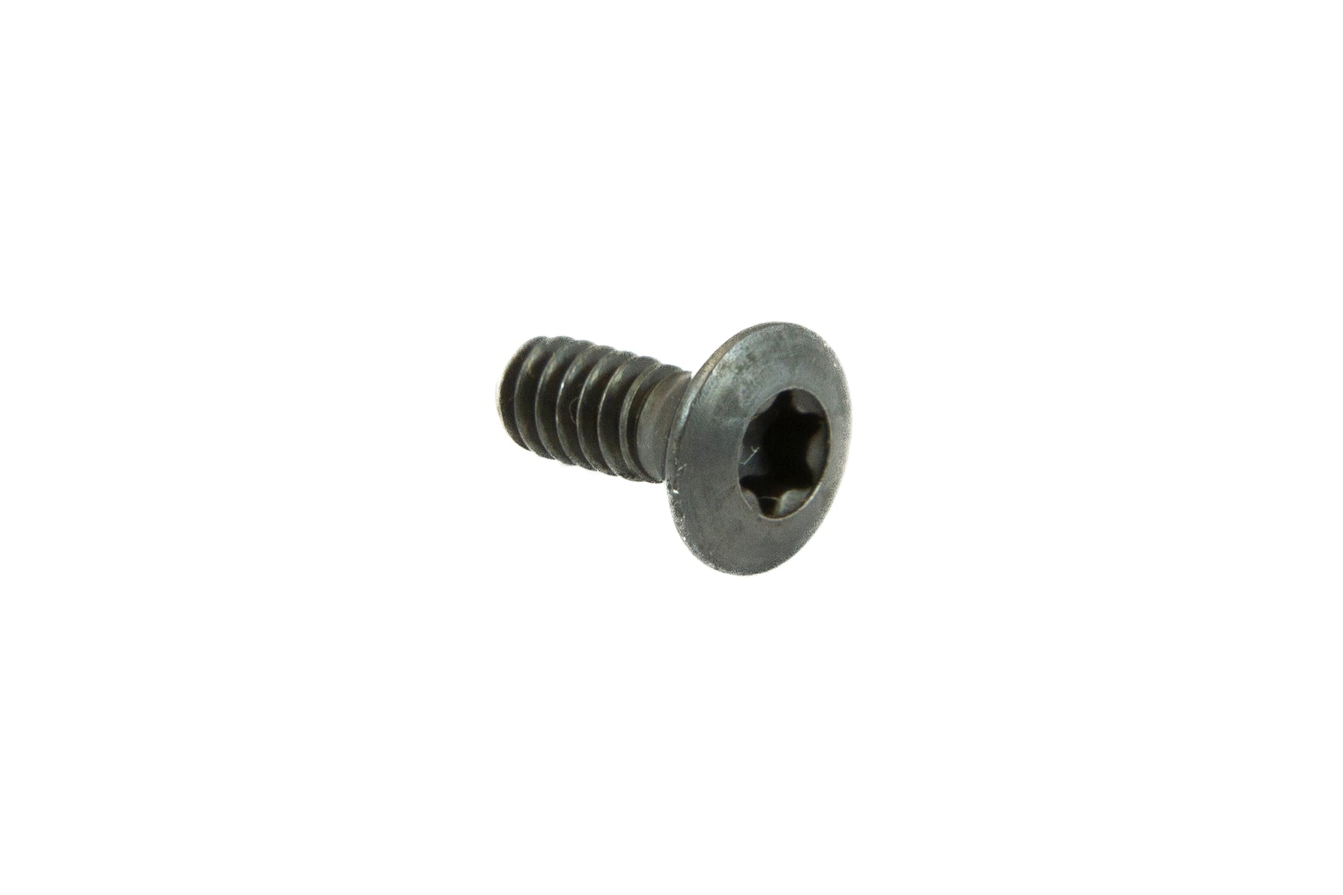 ROTTLER screw, oval head 4.40x.30 (torx screw)