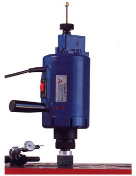 PEG 10